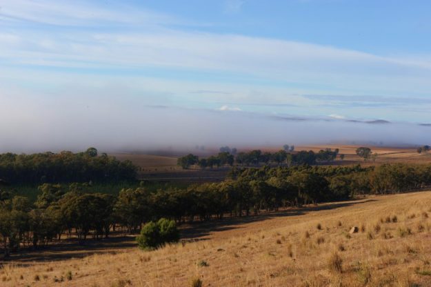 Bundaleer Valley 178x Nick Pilk edits