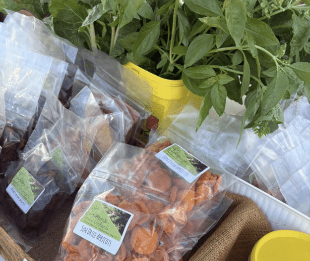 Screenshot 2026-02-06 at 5.40.28 pm